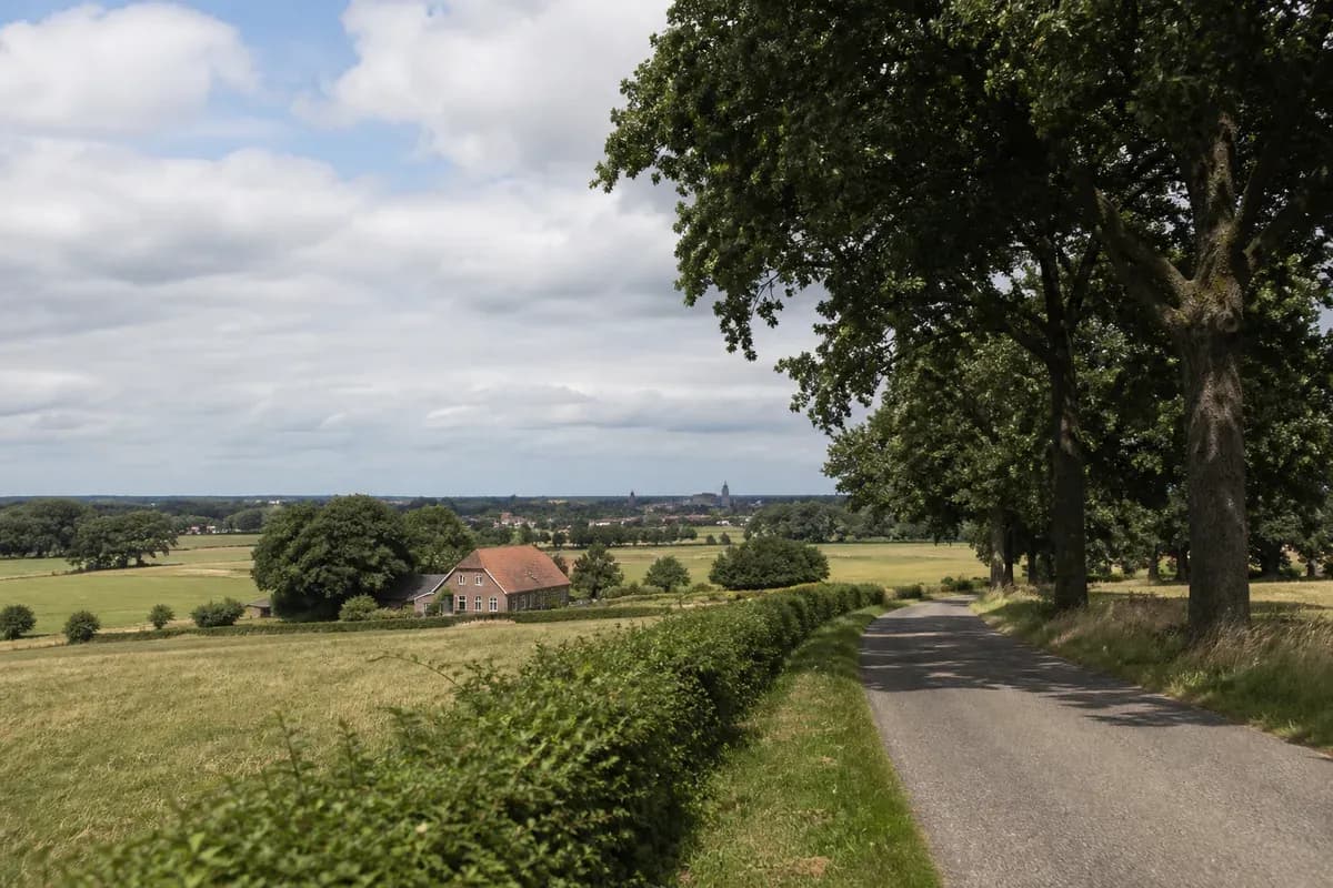 Landelijk uitzicht in Twente met een boerderij, een laan met bomen en een dorpssilhouet in de verte.